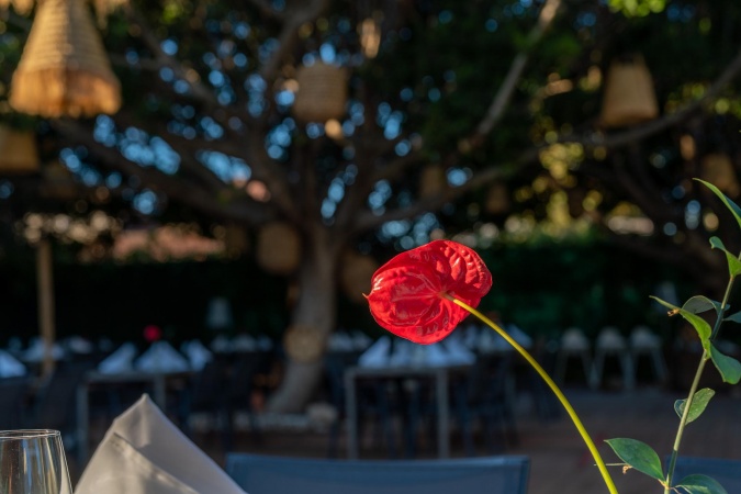 Cooker's Celler 7_24 Restoran